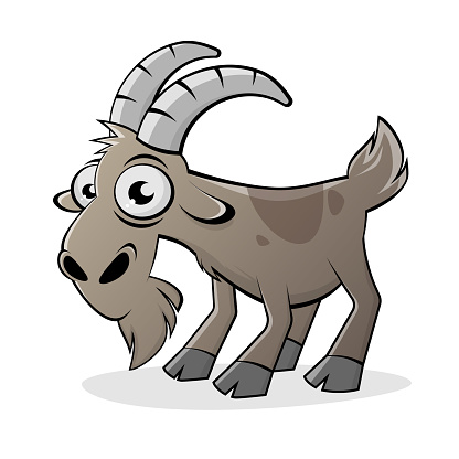 funny cartoon goat isolated vector illustration