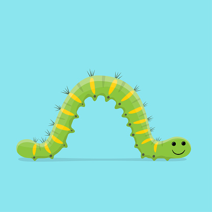 funny cartoon illustration of a crawling caterpillar