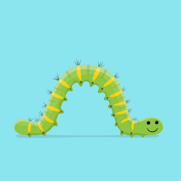 funny cartoon illustration of a crawling caterpillar vector art illustration