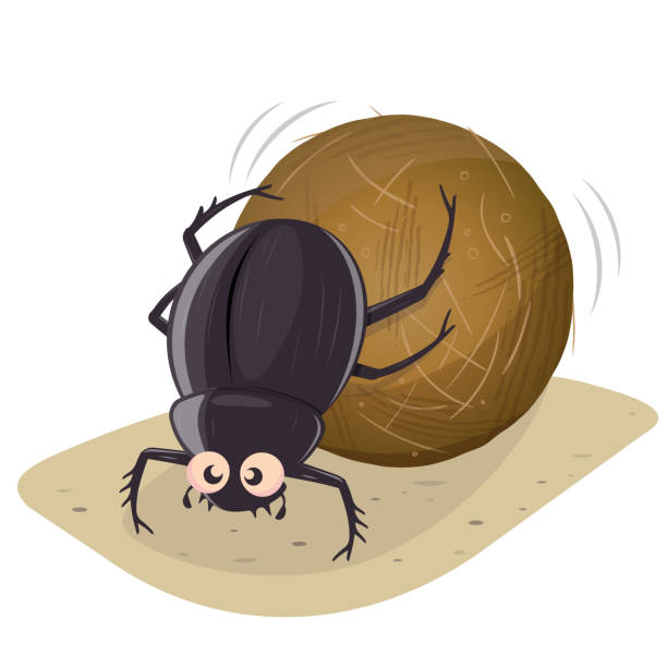 funny cartoon illustration of a dung beetle vector art illustration
