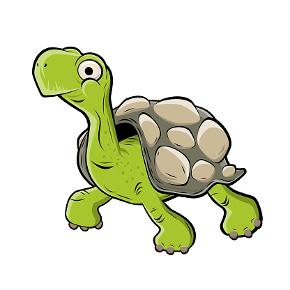 funny cartoon turtle vector illustration