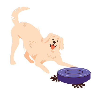 Funny dog playing with robot vacuum cleaner. Smart home equipment and domestic animals.