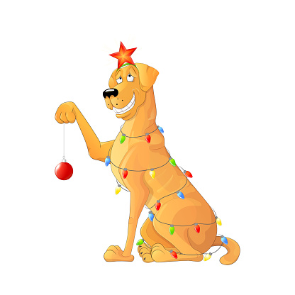Funny dog with a garland