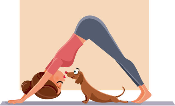 bildbanksillustrationer, clip art samt tecknat material och ikoner med rolig tjej tränar nästa att hennes hund på yogamatta - tax