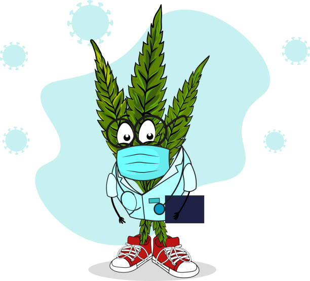 Funny hemp character design in medical suit. Funny hemp character design in medical suit. Leaf doctor for kids. Cannabis in medical masks with phonendoscope in cartoon flat style with stroke. Coronavirus background elemenents pearl harbor stock illustrations