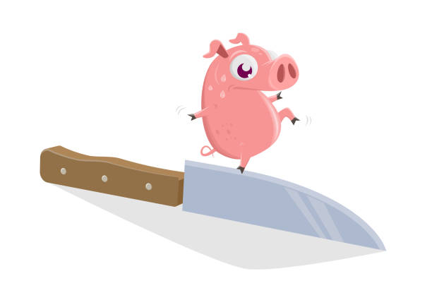 funny illustration of a cartoon pig balancing on knife's edge vector art illustration