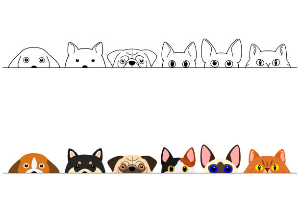 illustrazioni stock, clip art, cartoni animati e icone di tendenza di divertente sbirciare cani e gatti border set - allevatore