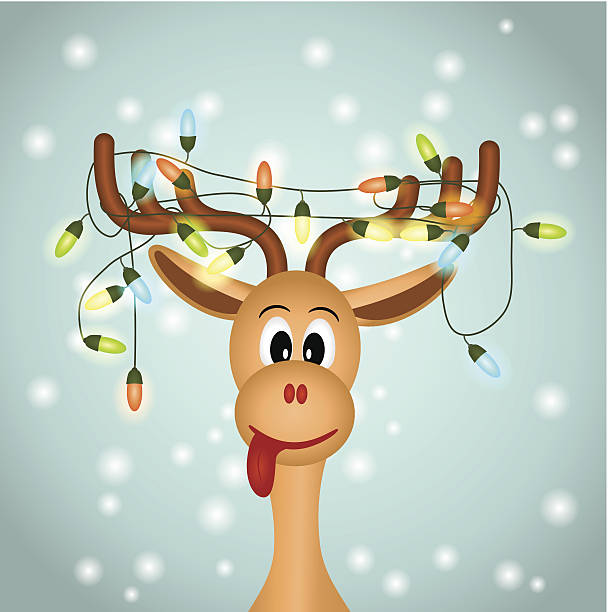 funny reindeerw with christmas lights funny reindeer with christmas lights tangled in antlers rudolph the red nosed reindeer stock illustrations