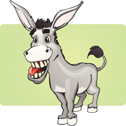 Funny Smiling Donkey