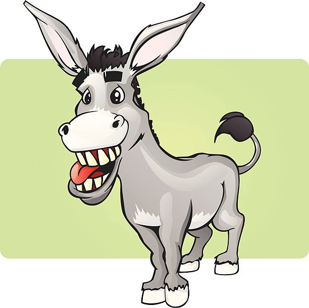 Funny Smiling Donkey A donkey / mule smiling. donkey teeth stock illustrations