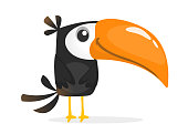 Funny toucan cartoon. Vector bird illustration