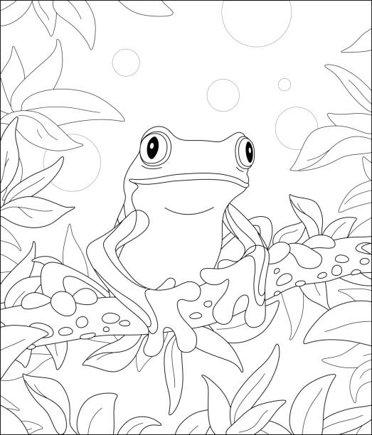 Funny tropical frog on a tree branch Wild scenery with an amusing poisonous frog sitting on a branch in a wild tropic rainforest, black and white outline vector cartoon illustration for a coloring book page frog clipart black and white stock illustrations