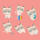 Funny vector set of grumpy cat.