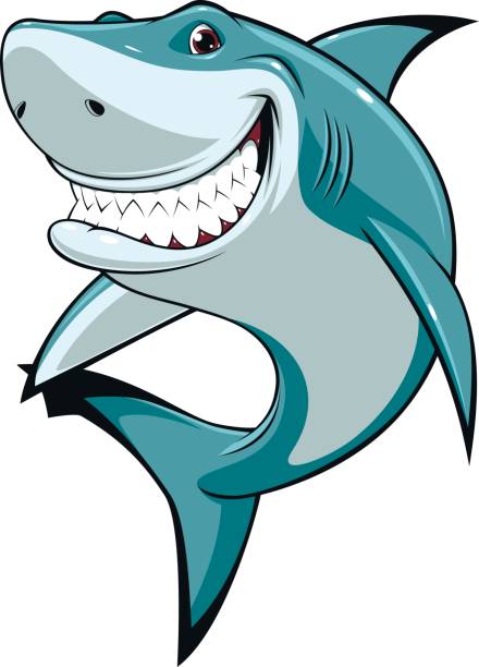 Funny white shark Vector illustration, funny toothy white shark, isolated on white background shark stock illustrations