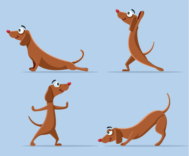 2 432 Warm Up Exercise Illustrations Clip Art Istock