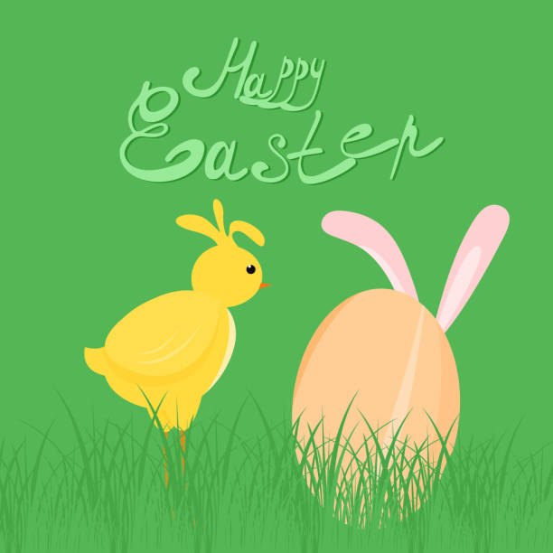 Funny yellow chicken examines an egg on a lawn in the grass. Postcard template with the text of Happy Easter. Funny yellow chicken examines an egg on a lawn in the grass. Postcard template with the text of Happy Easter. Cartoon Vector illustration in flat style easter sunday stock illustrations