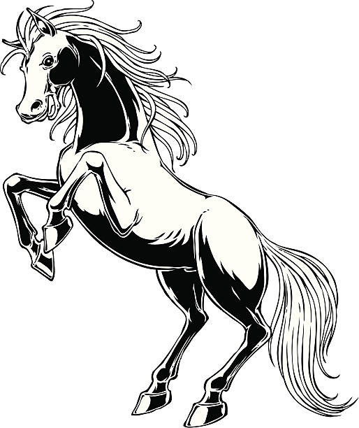 Furious Horse vector art illustration