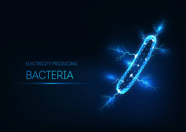 Futuristic glowing low polygonal electricity producing bacteria isolated on dark blue background. Futuristic glowing low polygonal electricity producing bacteria isolated on dark blue background. Microbiology research concept. Modern wire frame mesh design vector illustration. listeria stock illustrations