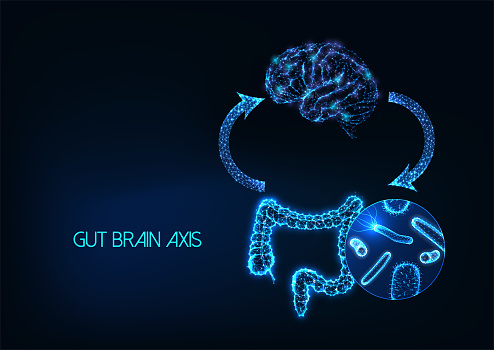 Futuristic gut brain axis, microbiome and mood connection concept with glowing low polygonal human intestine, brain, and gut flora isolated on dark blue background. Modern design vector illustration.