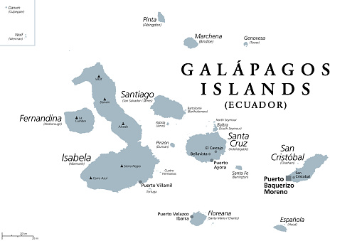 Galapagos Islands, gray political map, archipelago, part of Ecuador