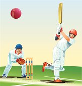 istock Game of Cricket 185434596