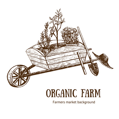 Garden Cart, Wheelbarrow or Trolley Organic Farm Hand Draw Sketch. Vector illustration