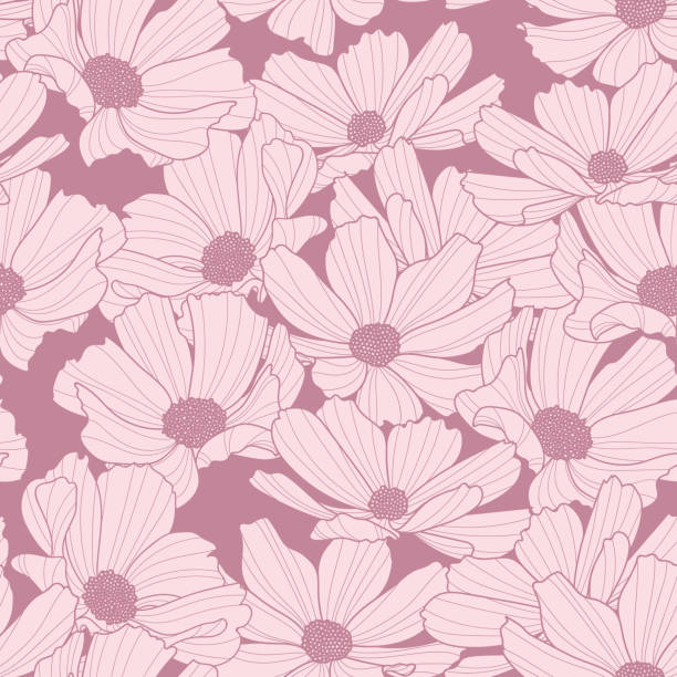 Cosmos Flower Pattern Illustrations, Royalty-Free Vector Graphics ...