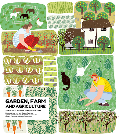 Garden, farm and agriculture. Vector illustration of gardener, garden beds, fields, maps, houses, nature, greenhouse and harvest. Drawings for poster, background or postcard