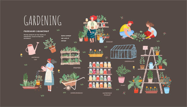 Garden, flowers and plants at home and outdoor.Vector drawn illustrations of plants in pots, people in garden beds, woman watering a flower for posters or cards Garden, flowers and plants at home and outdoor.Vector drawn illustrations of plants in pots, people in garden beds, woman watering a flower for posters or cards gardening stock illustrations