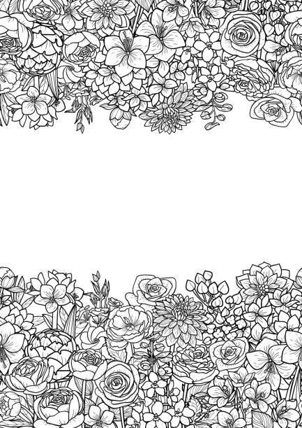 Garden Flowers Seamless Border Garden flowers and leaves seamless border. Floral romantic black and white wallpaper for coloring books, textile prints and wrapping. flower coloring pages stock illustrations