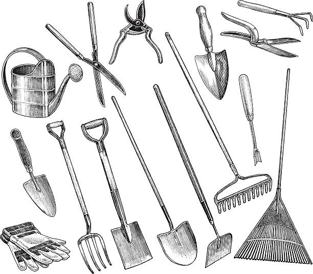 Garden Tools - Spade, Hoe, Shovel, Trowel Garden Tools. Pen and ink illustrations of garden tools. Check out my “Garden & Yard Tools” light box for more. hedge clippers stock illustrations