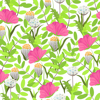 Garden with wildflowers and green lives, summer pattern, white background.
