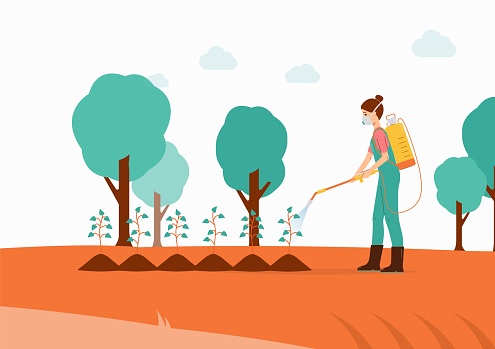 Gardener sprays pesticides or insecticides on plants flat vector illustration.