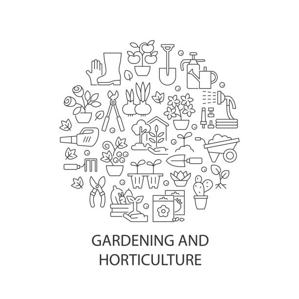 Gardening abstract linear concept layout with headline Gardening abstract linear concept layout with headline. Plant care in home yard. Horticulture minimalistic idea. Horticulture. Thin line graphic drawings. Isolated vector contour icons for background gardening patterns stock illustrations
