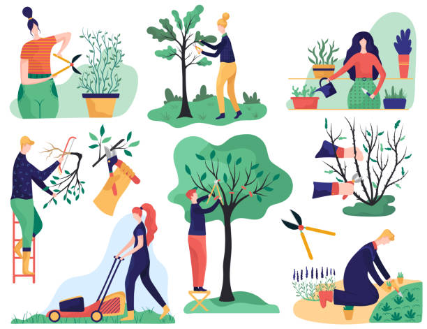 Gardening and cutting tree branches, cartoon vector illustration People gardening and cutting tree branches, cartoon characters vector illustration. Set of stickers in flat style, men and women cultivating plants in garden, orchard trees gardener and home greenery gardening clipart stock illustrations