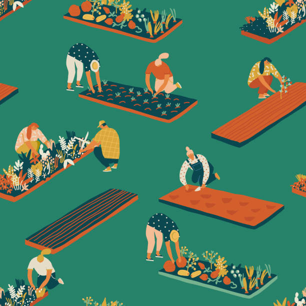Gardening and farming seamless pattern. Gardening and farming seamless pattern. Farmer gardener cartoon people growing vegetables and flowers on the farm illustration in vector. community garden stock illustrations