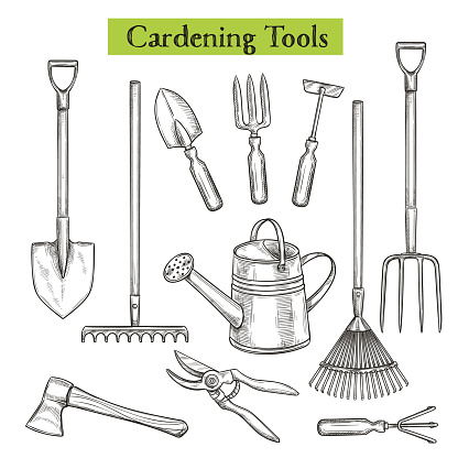 Gardening tools vector illustration in retro sketch style. Shovel, rake and pruner. Watering can, chopper, pruner, ax and forks.