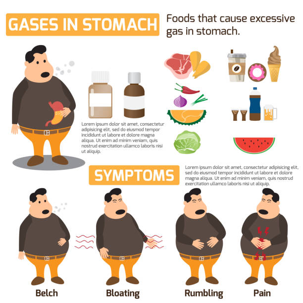 Gases in stomach infographics health concept. symptoms and treatments for gases in stomach and food avoid. vector illustration. vector art illustration