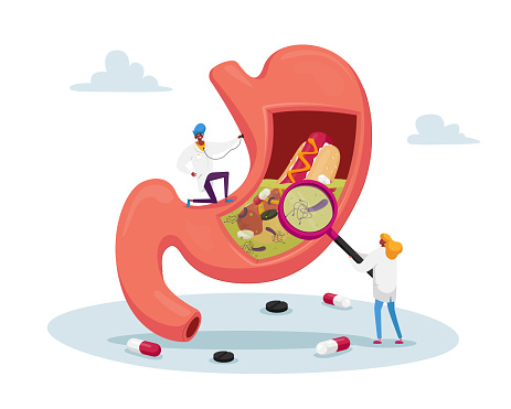 Gastroenterology Doctor Characters at Huge Stomach with Stethoscope and Magnifier. Appointment, Medic Study Stomachache Causes of Gastritis and Helicobacter Disease. Cartoon People Vector Illustration