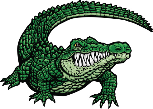 Alligator in the shape of a G. 4 spot colors plus black. Simple gradients and shapes for easy printing, separating and color changes. Major elements layered separately for easy editing. Black and white outline version also included. File formats: EPS and JPG