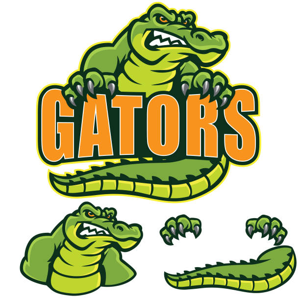 Gators Sign This aggressive Gator sign perfect for any design. alligator stock illustrations
