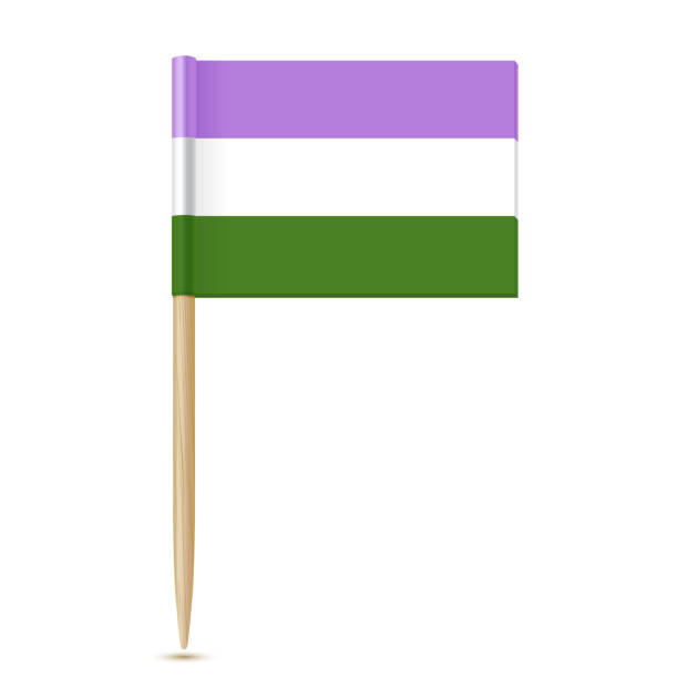 genderqueer pride pedał movement lgbtq. flaga wykałaczki - progress pride flag stock illustrations