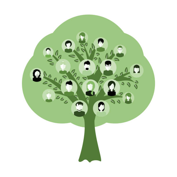 ilustraciones, imágenes clip art, dibujos animados e iconos de stock de árbol de genealogía para ilustración de antepasados de adn aislado - family tree