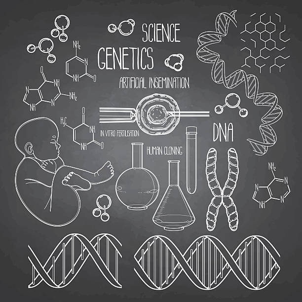 zestaw badań genetycznych - baby formula stock illustrations