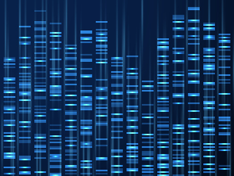 Genomic data visualization. Dna genome sequence, medical genetic map. Genealogy barcode vector background