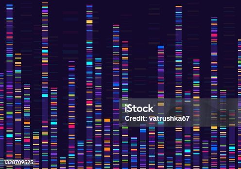 istock Genomic data visualization. Gene mapping, dna sequencing, genome barcoding, genetic marker map analysis infographic vector concept 1328709525