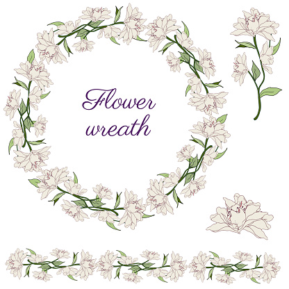Gentle floral wreath of magnolia on a white background, flower brush. Vector hand-drawn spring illustration.