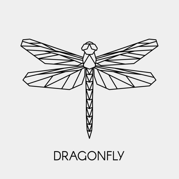 Geometric linear dragonfly. Polygonal animal. Vector illustration. Black contour drawing animal for creativity. dragonfly stock illustrations