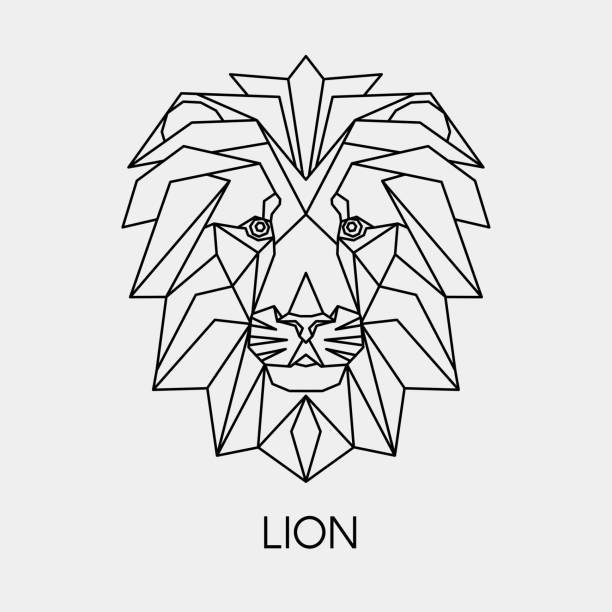 Geometric linear lion. Polygonal head animal. Vector illustration. Black contour drawing animal for creativity. lion face stock illustrations