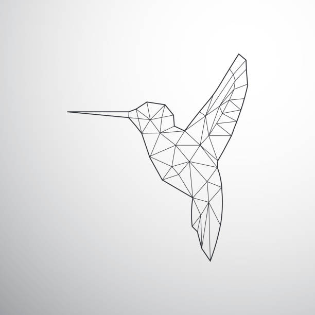 Geometrical Colibri Geometrical Colibri,connected lines and dots, bird hummingbird stock illustrations